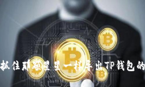 如何像抓住那颗星星一样导出TP钱包的助记词