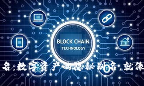 : TP钱包地址别名：数字资产的隐秘别名，就像网络中的小白羊