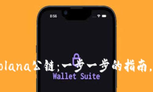 如何在TPWallet中添加Solana公链：一步一步的指南，让您的数字钱包不再单一