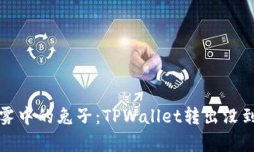 “转账像迷雾中的兔子：TPWallet转出没到账的奥秘”