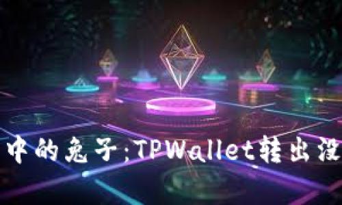“转账像迷雾中的兔子：TPWallet转出没到账的奥秘”