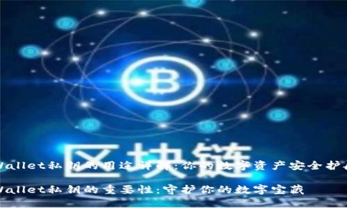 TPWallet私钥的用途详解：你的数字资产安全护航者

TPWallet私钥的重要性：守护你的数字宝藏