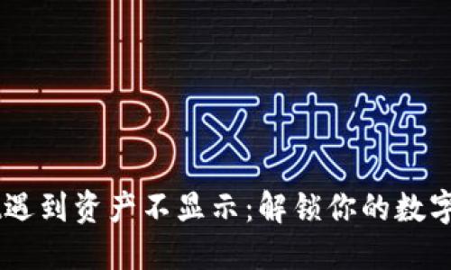 当TPWallet遇到资产不显示：解锁你的数字钱包的秘密