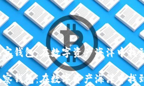 
TPWallet观察钱包：在数字资产海洋中找到你的宝藏 

TPWallet观察钱包：在数字资产海洋中找到你的宝藏