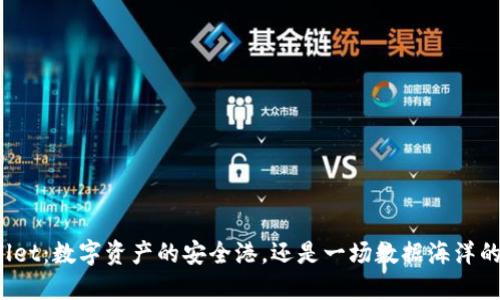 TPWallet：数字资产的安全港，还是一场数据海洋的冒险？